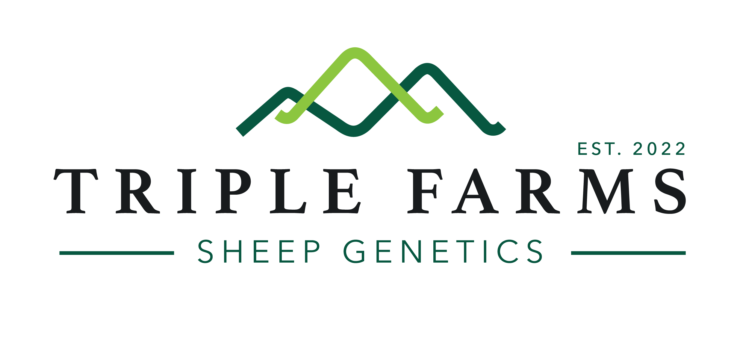 Triple Farms Sheep Genetics